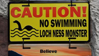 First Loch Ness monster sighting in 2025 reported. Could mystery finally be solved? First Loch Ness monster sighting in 2025 reported. Could mystery finally be solved?