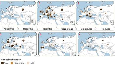 Most ancient Europeans had dark skin, eyes and hair up until 3,000 years ago, new research finds Most ancient Europeans had dark skin, eyes and hair up until 3,000 years ago, new research finds