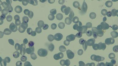 ‘This β¦ will be an invaluable resource’ ‘This β¦ will be an invaluable resource’