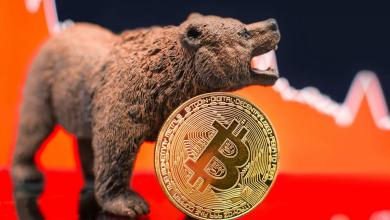 Bitcoin’s Price Recovery Runs Into a Bearish Double Top Pattern, What Next for XRP, SOL, DOGE? Bitcoin’s Price Recovery Runs Into a Bearish Double Top Pattern, What Next for XRP, SOL, DOGE?