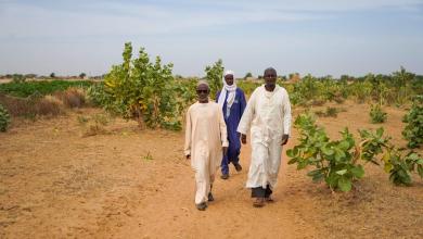How a US company’s huge land deal in Senegal went bust How a US company’s huge land deal in Senegal went bust