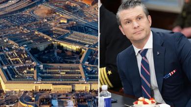 The Pentagon is bracing for many more firings: NYT reporter The Pentagon is bracing for many more firings: NYT reporter