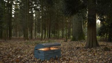 A Woman Went for a Casual Walk—and Accidentally Discovered a One-in-a-Million Treasure A Woman Went for a Casual Walk—and Accidentally Discovered a One-in-a-Million Treasure