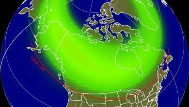 Where and when to see it Where and when to see it