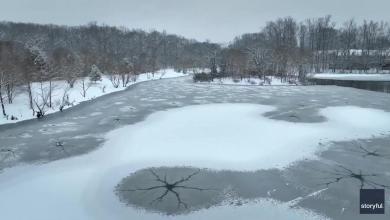 Drone Captures Stunning View of Horses on Snowy Maryland Farm Drone Captures Stunning View of Horses on Snowy Maryland Farm