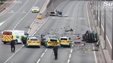 Seven Cops Hospitalized After Disastrous BMW Chase Seven Cops Hospitalized After Disastrous BMW Chase