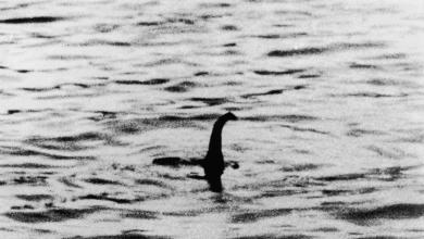 In 1970, an Underwater Camera Searched for the Loch Ness Monster. It Just Surfaced—With Haunting Photos. In 1970, an Underwater Camera Searched for the Loch Ness Monster. It Just Surfaced—With Haunting Photos.