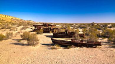 Report Reveals World’s Fourth Largest Lake Now a Deadly Desert Report Reveals World’s Fourth Largest Lake Now a Deadly Desert