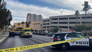 The Tesla Cybertruck that exploded and the New Orleans attack vehicle were both rented using the Turo app The Tesla Cybertruck that exploded and the New Orleans attack vehicle were both rented using the Turo app