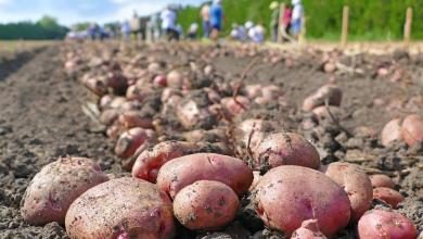 ‘This marks the beginning of a new era’ ‘This marks the beginning of a new era’