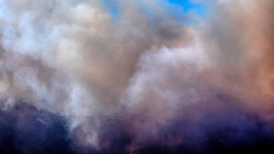 Images show Palisades Fire, other blazes ravaging Los Angeles area Images show Palisades Fire, other blazes ravaging Los Angeles area