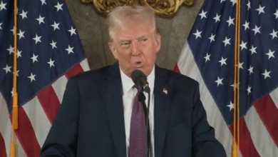 Trump addresses my top issues: Renaming Gulf of Mexico and invading Greenland Trump addresses my top issues: Renaming Gulf of Mexico and invading Greenland