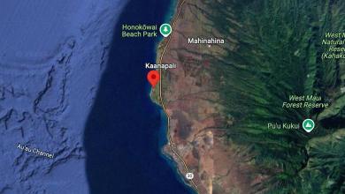 Hawaii beachside resort rocked by explosion, injuring at least 7 people Hawaii beachside resort rocked by explosion, injuring at least 7 people