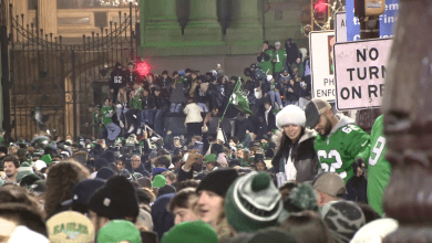 Eagles fan, 18, dies after falling from pole during celebration: sources Eagles fan, 18, dies after falling from pole during celebration: sources