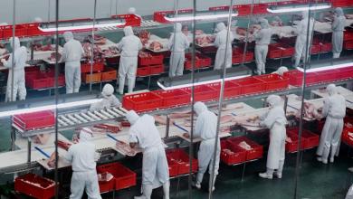 ‘Too often allowed to violate the law’ ‘Too often allowed to violate the law’