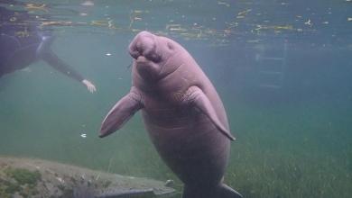 Bay Area town named one of the most charming in America by HGTV Bay Area town named one of the most charming in America by HGTV