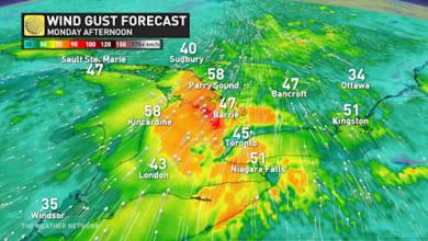 Gusty winds usher in above seasonal temperatures in southern Ontario, rain next Gusty winds usher in above seasonal temperatures in southern Ontario, rain next