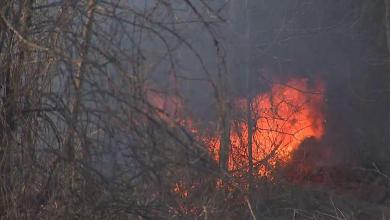 Evacuation order issued in mountain community due to ‘out of control’ wildfire Evacuation order issued in mountain community due to ‘out of control’ wildfire