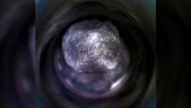 Perseverance Mars rover finds ‘one-of-a-kind treasure’ on Red Planet’s Silver Mountain Perseverance Mars rover finds ‘one-of-a-kind treasure’ on Red Planet’s Silver Mountain