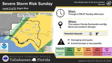 Power out to thousands of homes after ‘potent’ squall line pushes through Tallahassee Power out to thousands of homes after ‘potent’ squall line pushes through Tallahassee
