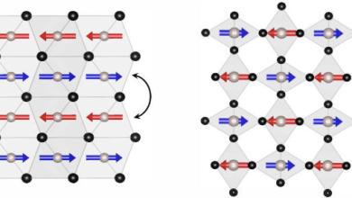 Physicists Confirm The Existence of a Third Form of Magnetism Physicists Confirm The Existence of a Third Form of Magnetism