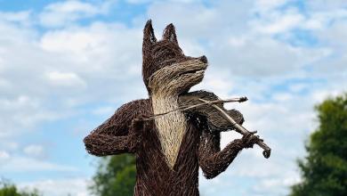 Cancelled Cambridge Folk Festival lost £320,000 Cancelled Cambridge Folk Festival lost £320,000