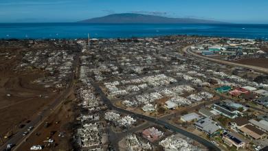 Hawaii court rules against insurance companies in Maui wildfire, allowing B settlement to proceed Hawaii court rules against insurance companies in Maui wildfire, allowing B settlement to proceed
