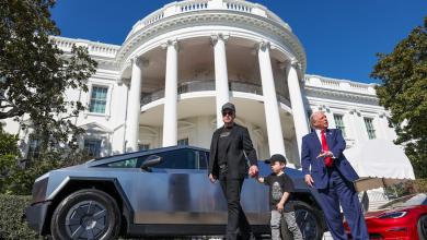 Historic tree to be cut down at the White House over safety concerns Historic tree to be cut down at the White House over safety concerns