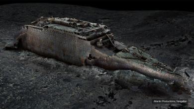 Jawbone from ancient land bridge reveals a mysterious human ancestor Jawbone from ancient land bridge reveals a mysterious human ancestor