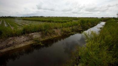 Five things to know about the K-Park site in Wellington Five things to know about the K-Park site in Wellington