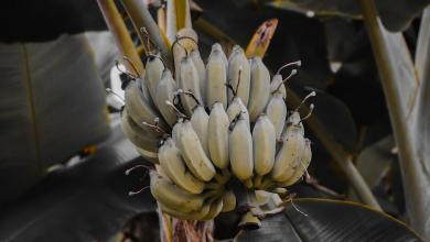 ‘It’s crucial we act now’ ‘It’s crucial we act now’