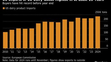 Europe’s Wine, Butter Sellers Rush to US to Avoid Trump Tariffs Europe’s Wine, Butter Sellers Rush to US to Avoid Trump Tariffs