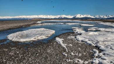 ‘There definitely seems to be an increase’ ‘There definitely seems to be an increase’