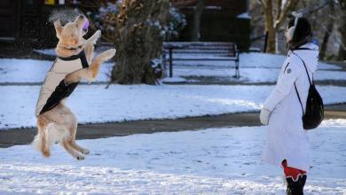 Snow is in the forecast for Sunday. Here’s how much to expect in RI Snow is in the forecast for Sunday. Here’s how much to expect in RI