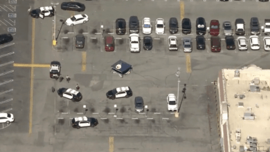 Man dies after confronting shoplifters in L.A. parking lot Man dies after confronting shoplifters in L.A. parking lot