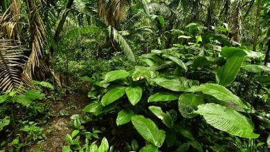 ‘I almost couldn’t believe it’ ‘I almost couldn’t believe it’