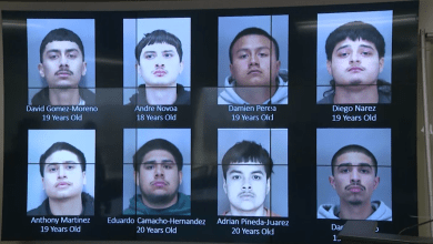 8 alleged gang members arrested in San Jose homicide 8 alleged gang members arrested in San Jose homicide