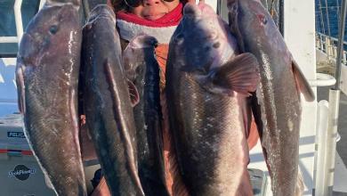 Cold winter brings traditional ice fishing contest back to New Jersey’s largest lake Cold winter brings traditional ice fishing contest back to New Jersey’s largest lake
