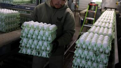 After repeated claims of taking over Greenland, the Trump administration is now asking Denmark for extra eggs amid shortage After repeated claims of taking over Greenland, the Trump administration is now asking Denmark for extra eggs amid shortage