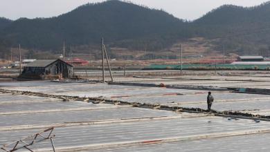 US blocks sea salt imports from South Korean salt farm over forced labor concerns US blocks sea salt imports from South Korean salt farm over forced labor concerns