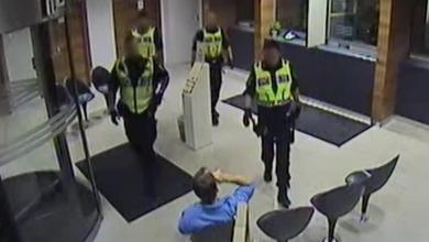 Sweden’s ‘Fritzl’ used drugged strawberries to kidnap a woman he was dating – now she’s telling her story Sweden’s ‘Fritzl’ used drugged strawberries to kidnap a woman he was dating – now she’s telling her story