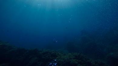 ‘There has been this massive quieting’ ‘There has been this massive quieting’