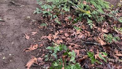 ‘I hope they figure out who is responsible and make them pay’ ‘I hope they figure out who is responsible and make them pay’