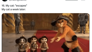 I Cackled So Hard I Woke Up My Parrot Laughing At These 17 Funny Pet Tweets I Cackled So Hard I Woke Up My Parrot Laughing At These 17 Funny Pet Tweets