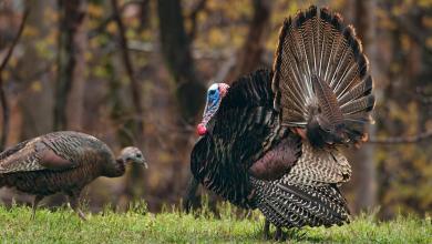 ‘Our research highlights an urgent need’ ‘Our research highlights an urgent need’