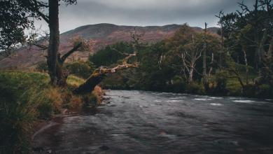 ‘Suggests the presence of a highly potent pollutant’ ‘Suggests the presence of a highly potent pollutant’