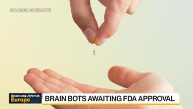 European Brain Surgery Startup Seeks US Expansion European Brain Surgery Startup Seeks US Expansion