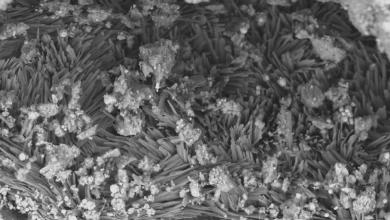 DNA building blocks found in asteroids for first time DNA building blocks found in asteroids for first time