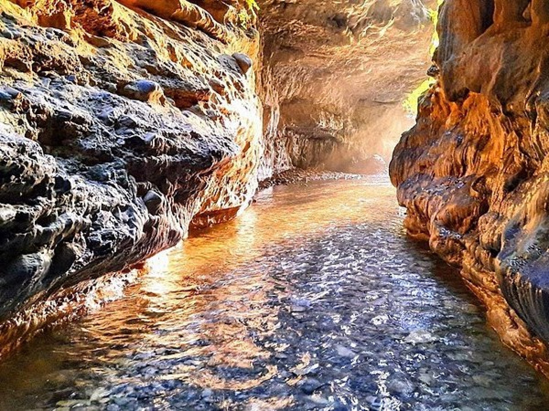 Robber Cave in Dehradun features a natural rock formation with lush greenery surrounding it, showcasing the area's serene beauty. Robber Cave in Dehradun features a natural rock formation with lush greenery surrounding it, showcasing the area's serene beauty.