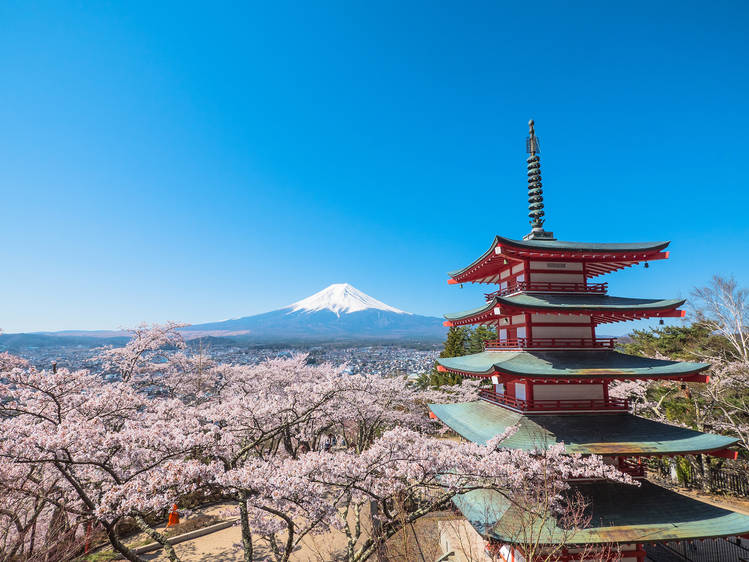 Scenic view of Mount Fuji towering over Shizuoka with lush greenery in the foreground showcasing the beauty of Japan's landscape. Scenic view of Mount Fuji towering over Shizuoka with lush greenery in the foreground showcasing the beauty of Japan's landscape.
